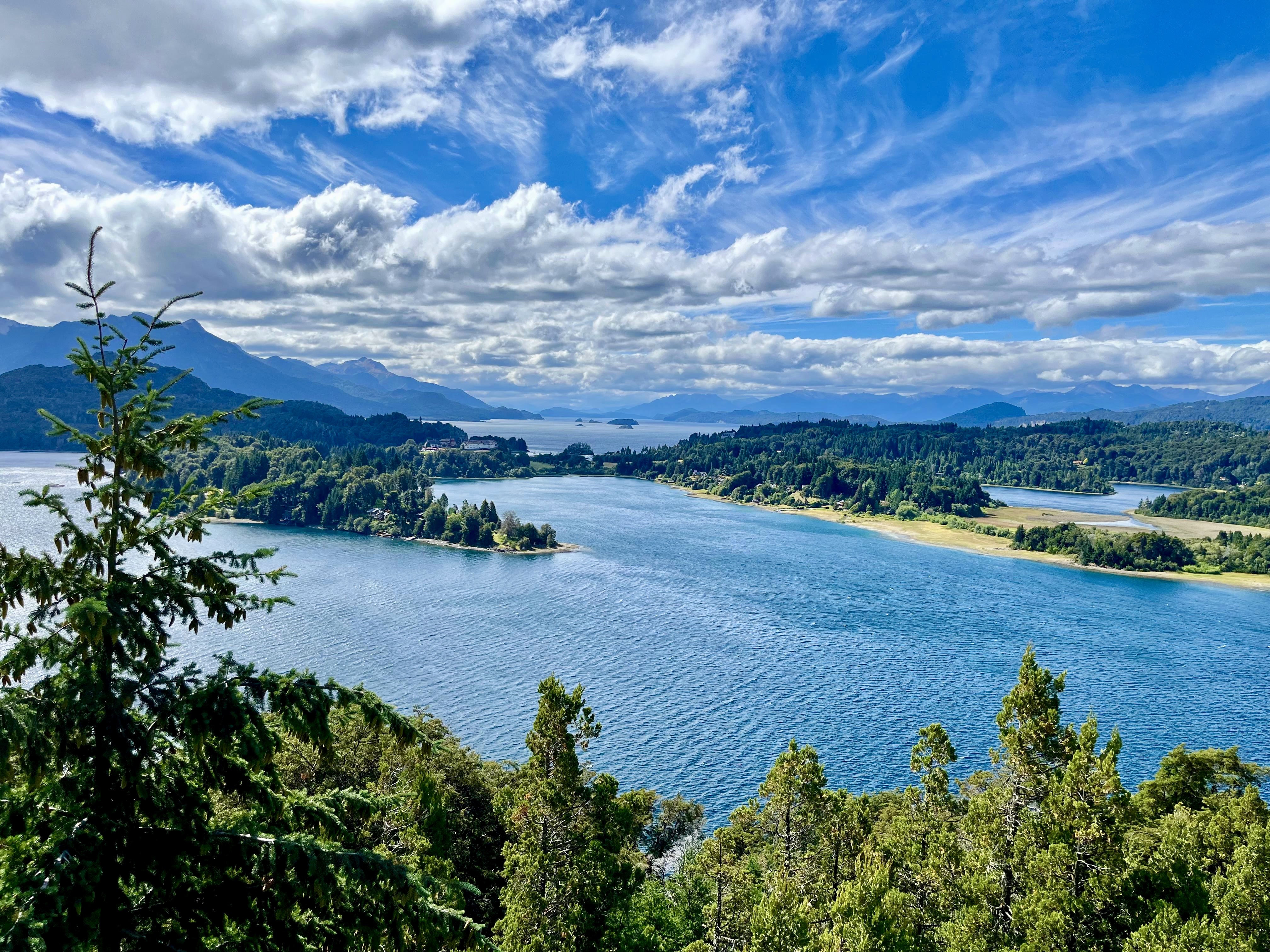 Il coihue sempreverde e l'arrayán